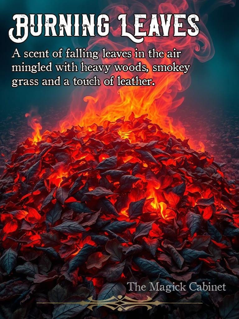 Burning Leaves Perfume: Smoky Woods, Leather, Spice - Unisex Fragrance