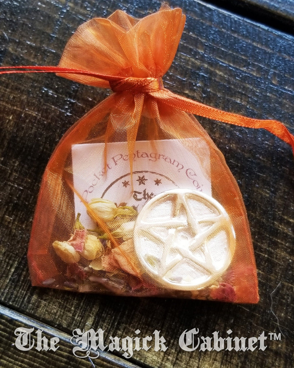 Pewter Pentacle Altar Coin: Witchcraft Protection Good Luck Charm