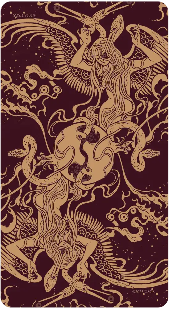 Decorative back of card with intricate gold designs of a dragon and phoenix on a dark background