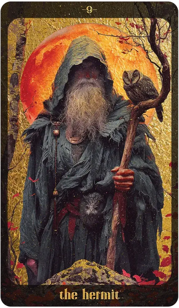 Tarot card featuring a robed figure with an owl, titled 'The Hermit', against a mystical background.
