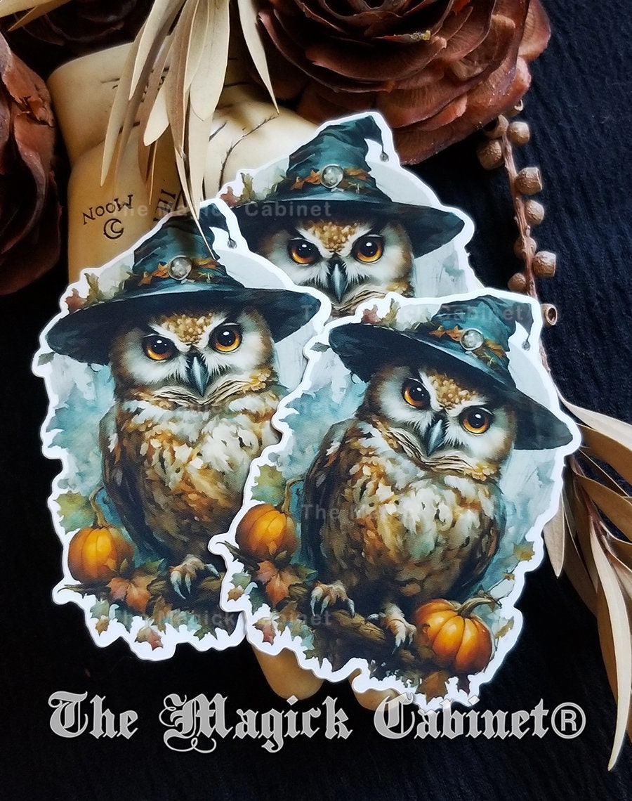 Witch Owl Halloween Sticker: Fun Samhain Vinyl Decal