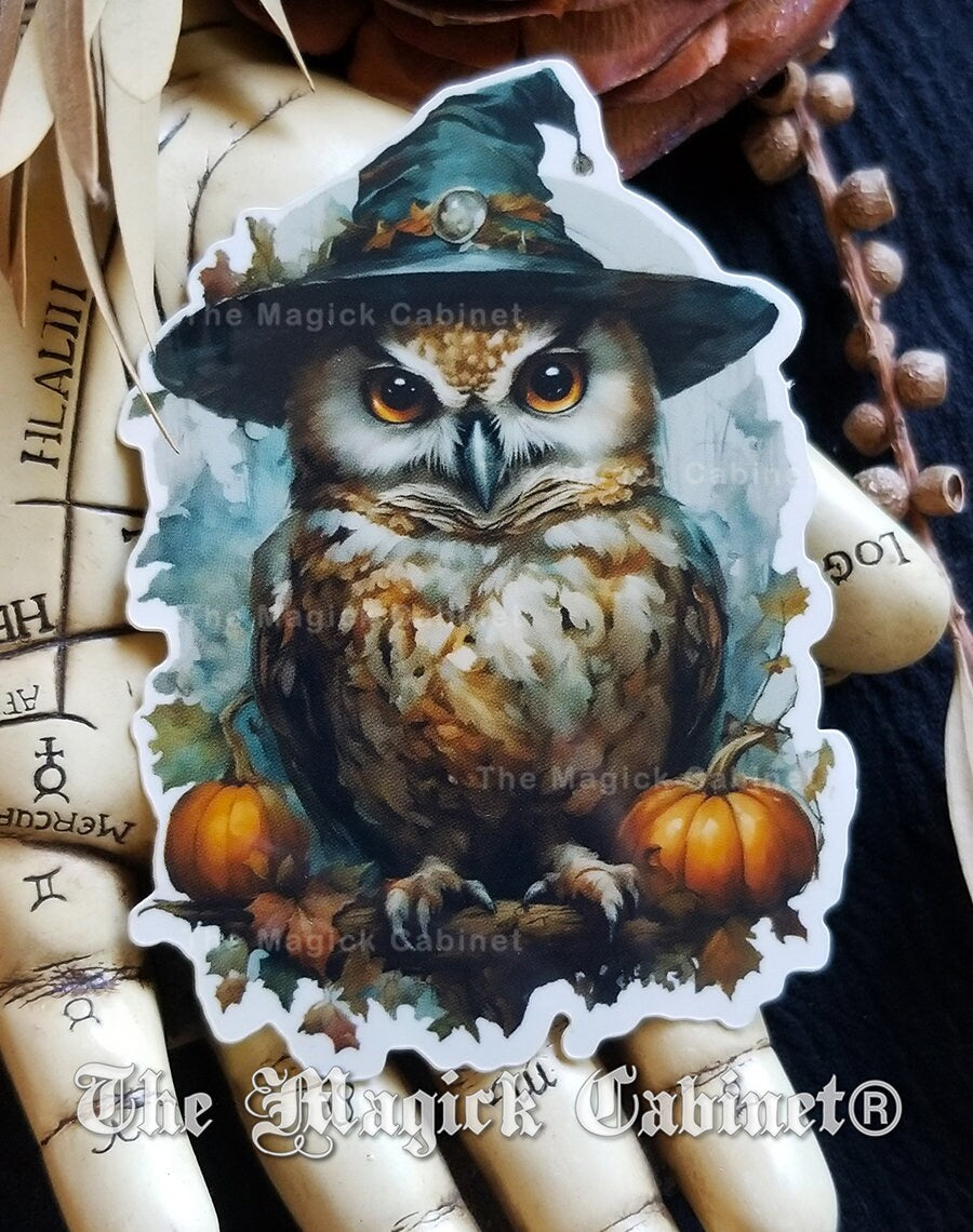 Witch Owl Halloween Sticker: Fun Samhain Vinyl Decal